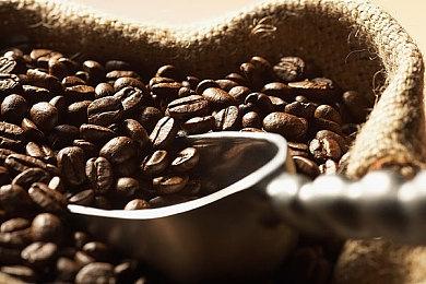 5月新游速报：《塞尔达：王国之泪》外也有佳作